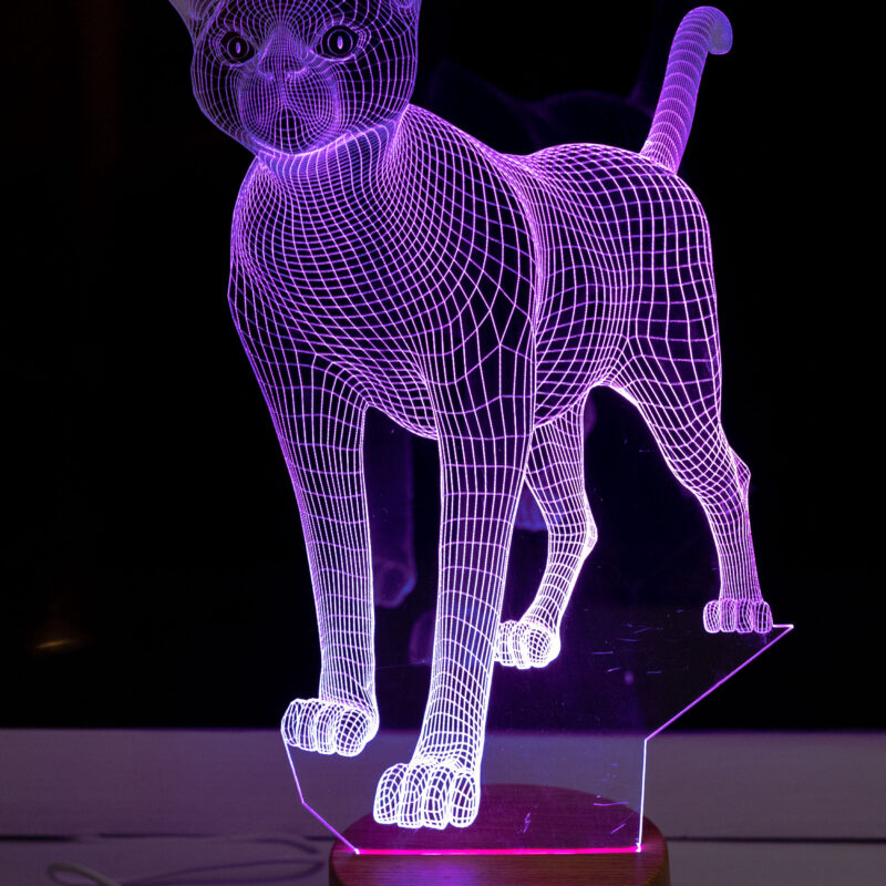 Cat 3D Illusion LED Night Light