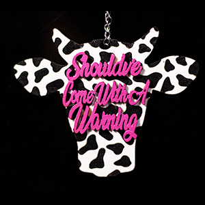 Should've Come With a Warning Car Charm